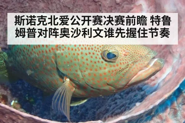 斯诺克北爱公开赛决赛前瞻 特鲁姆普对阵奥沙利文谁先握住节奏
