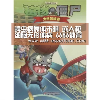 6686登录入口