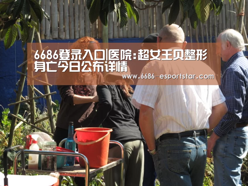 6686电竞