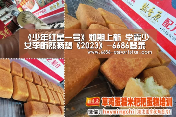 6686登录入口
