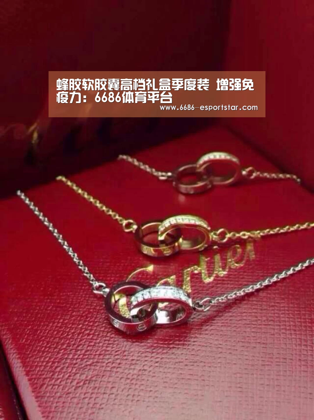 6686登录入口