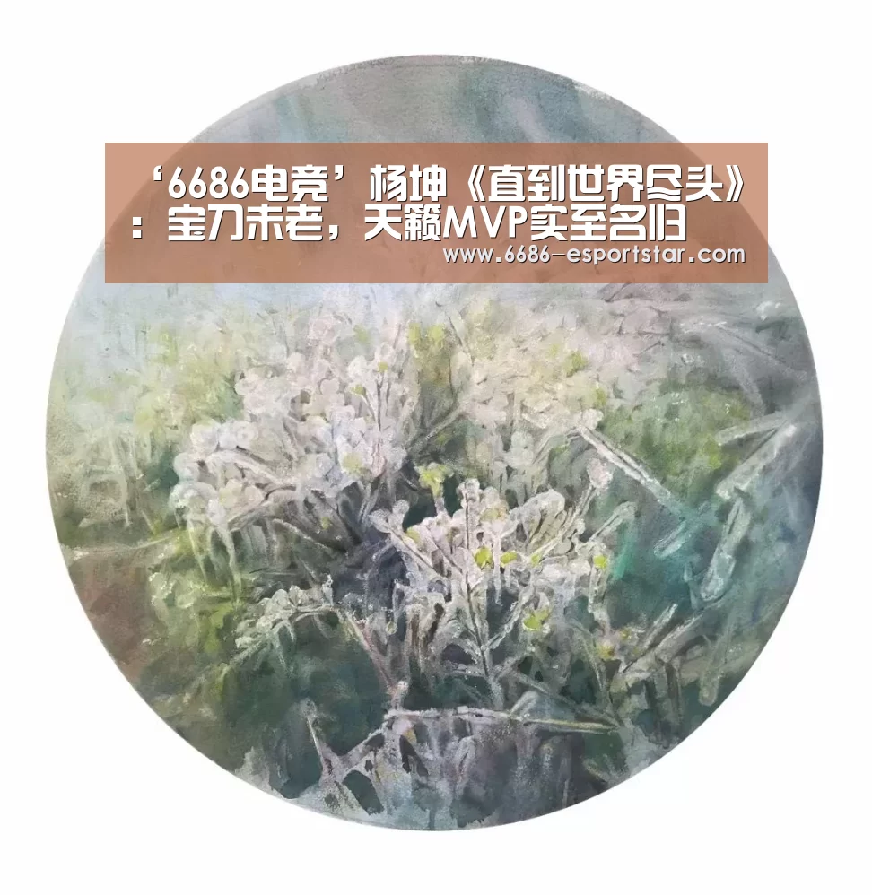6686登录入口