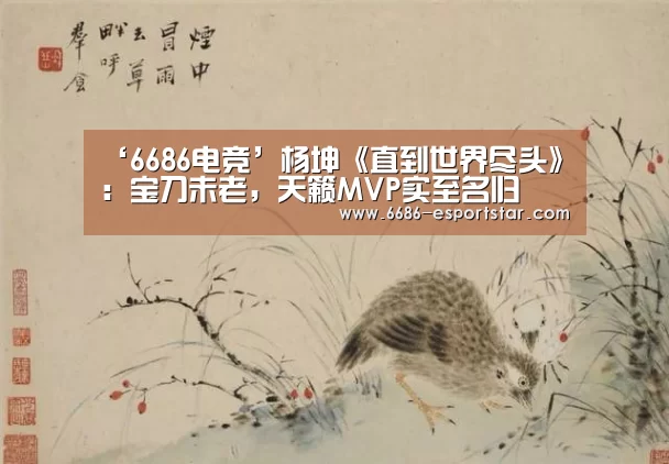 6686登录入口