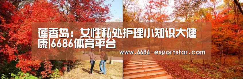 6686登录入口