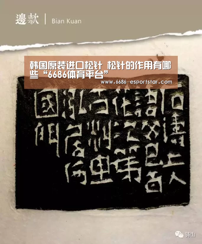 6686足球竞猜