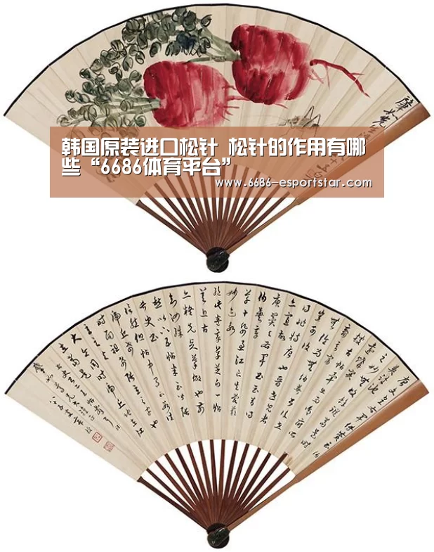 6686体育平台